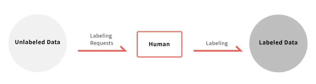 Basic data labeling workflow