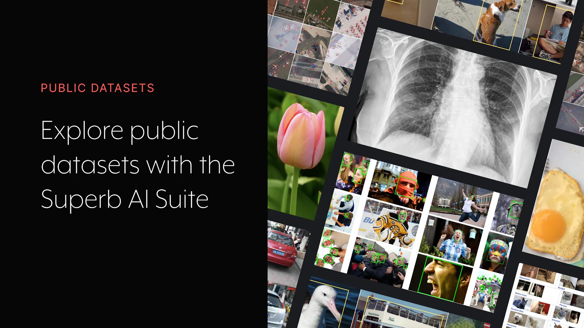 exploring-computer-vision-datasets