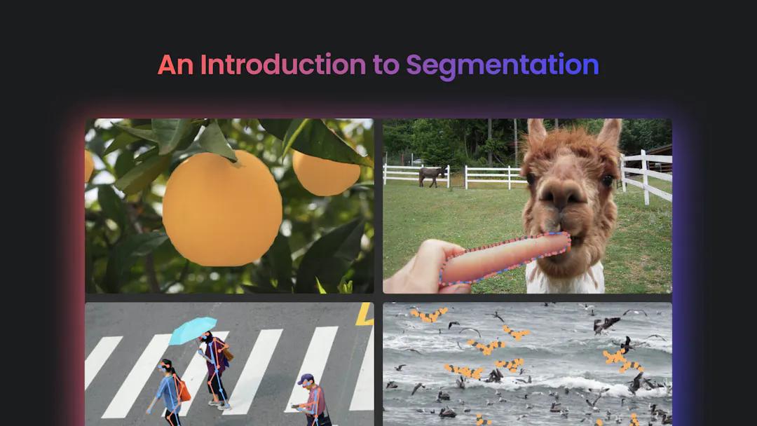 an-introduction-to-segmentation