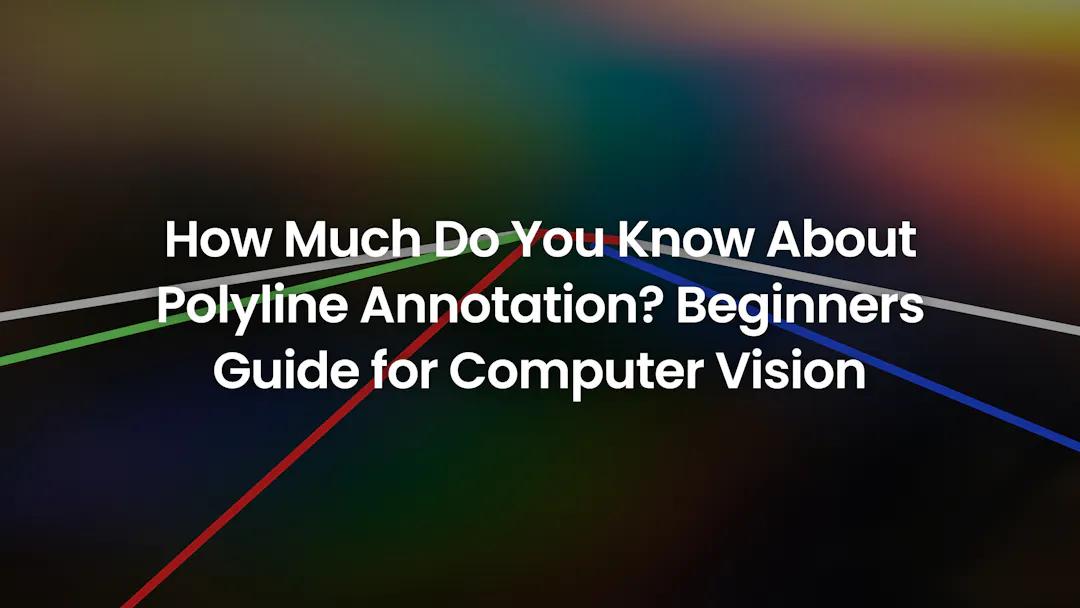 how-much-do-you-know-about-polyline-annotation-beginners-guide-for-computer-vision