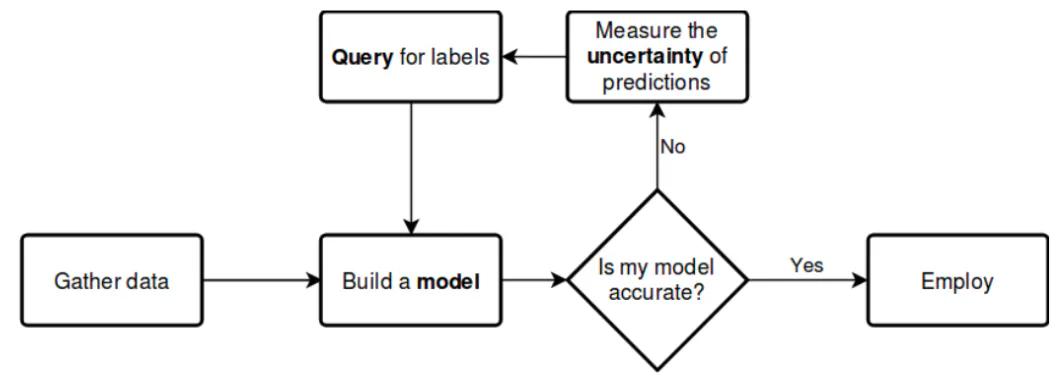 A figure of a basic ML/CV active learning cycle that includes a query phase. Image Source.