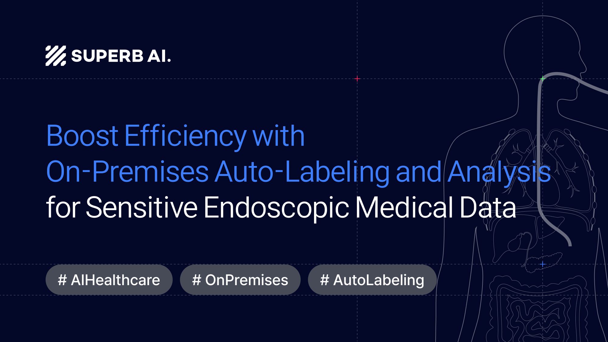 On-Premises Auto-Labeling and Analysis for Sensitive Endoscopic Medical Data