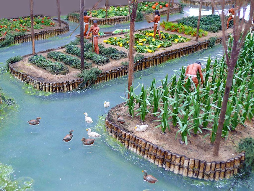 Chinampas