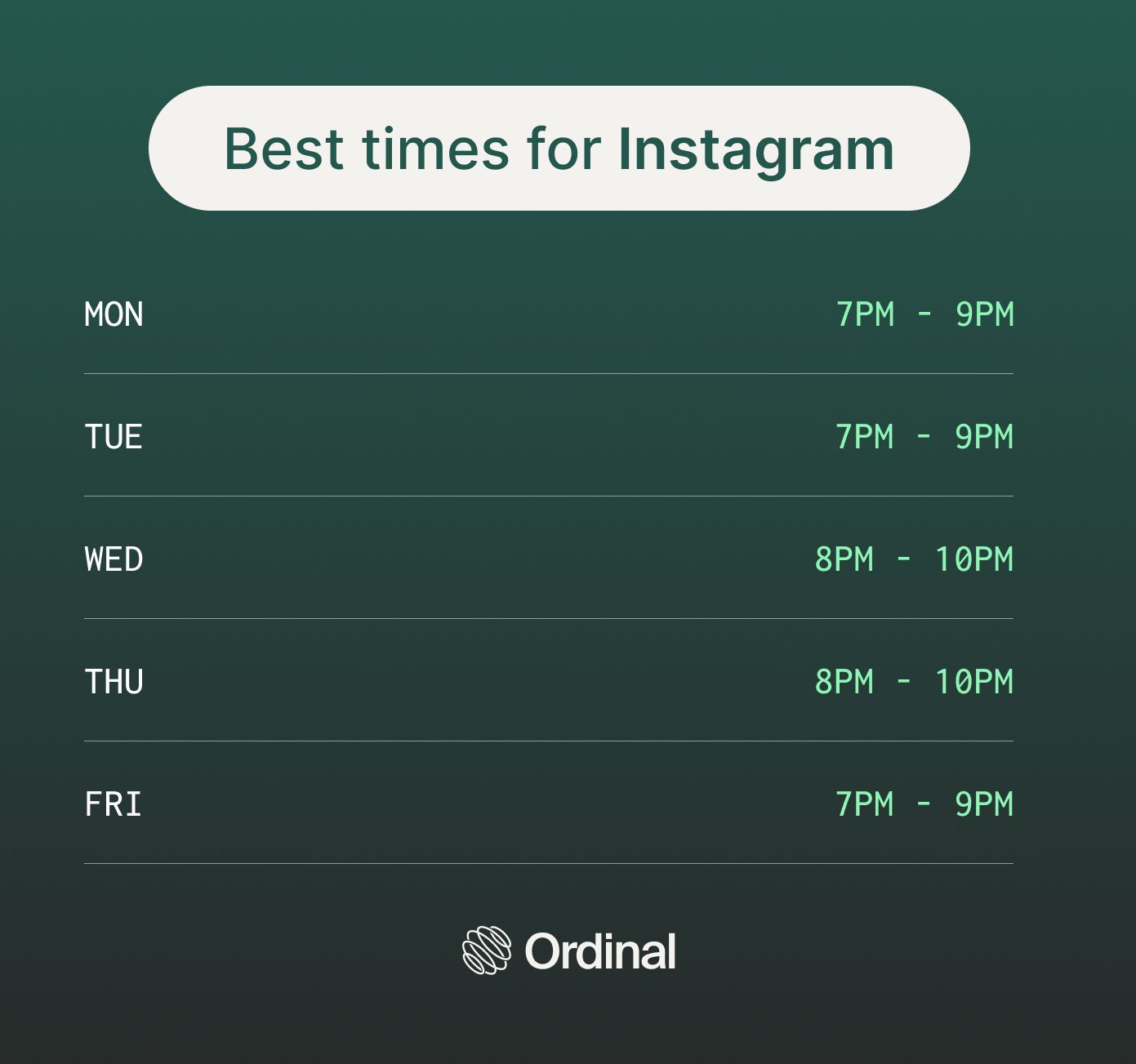 Instagram.jpg