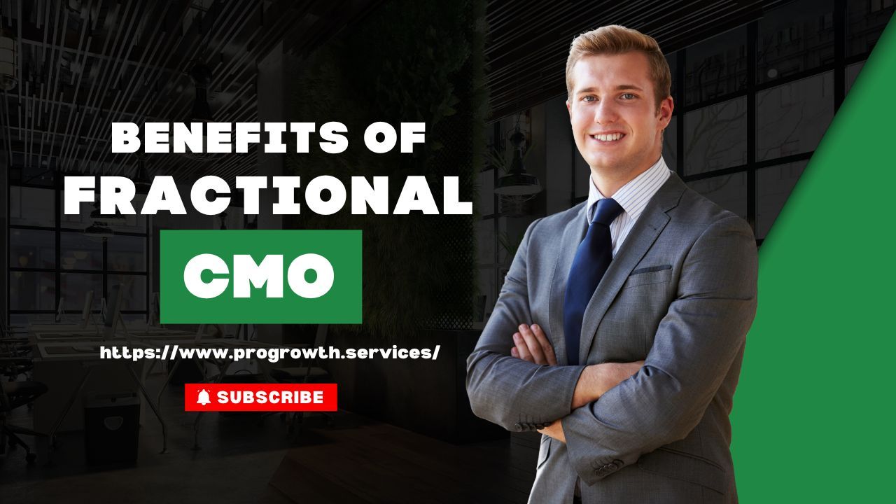  Small business CEO collaborating with a fractional CMO on marketing strategy