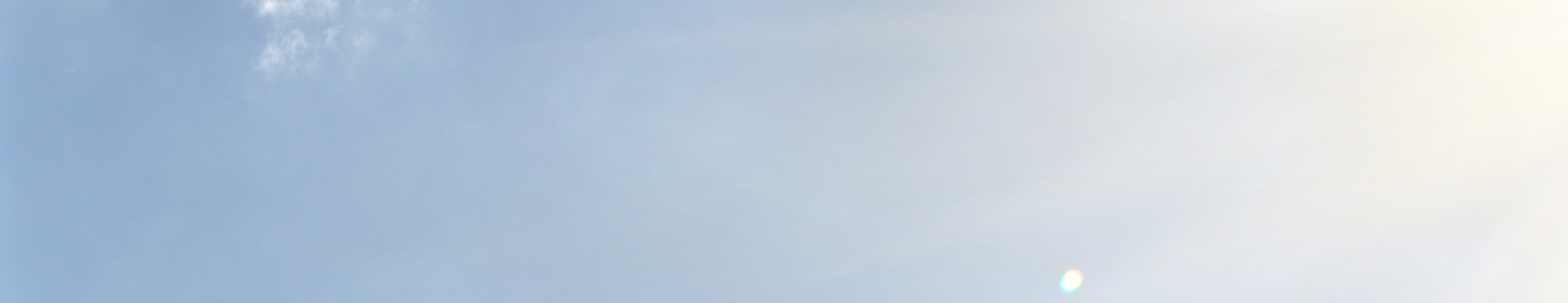 Welcome to our CIO Leadership Excellence Program