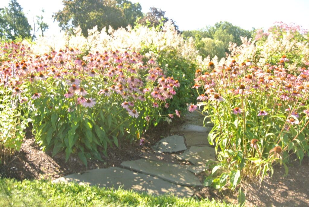 cottage garden with stepping stones