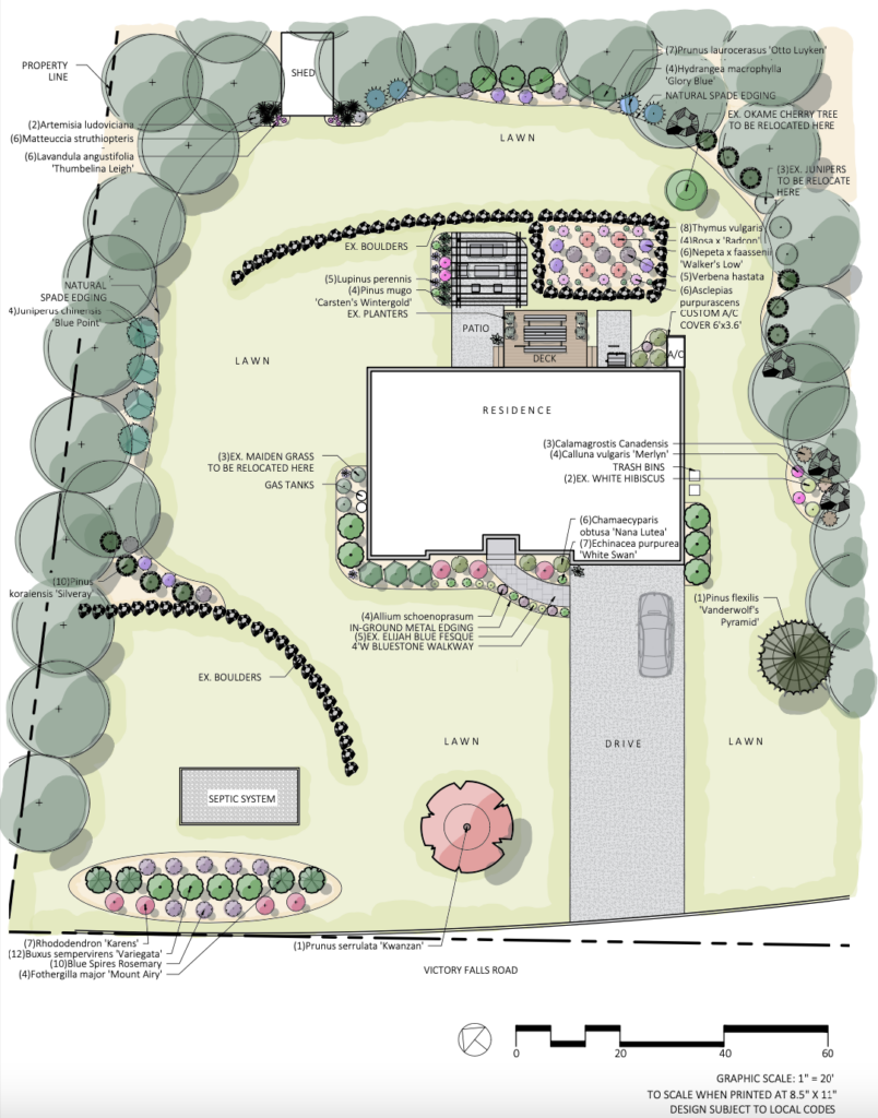 landscape design planting plan 