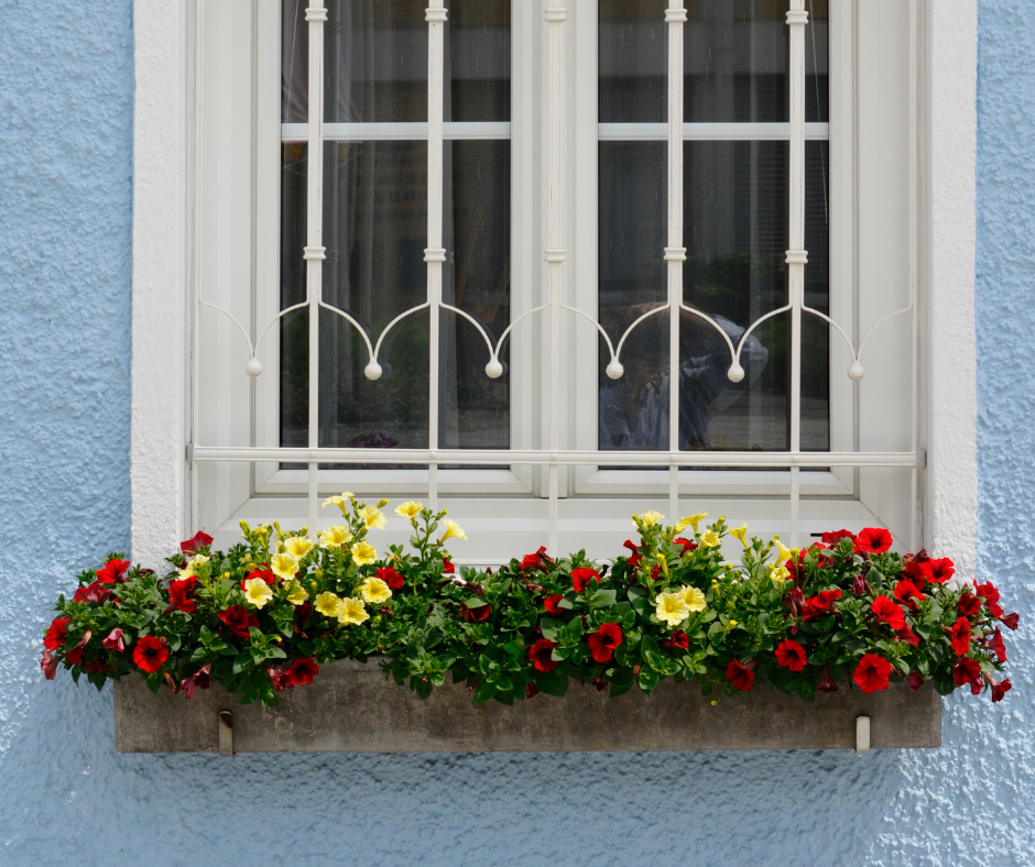 quaint window box with low flowers