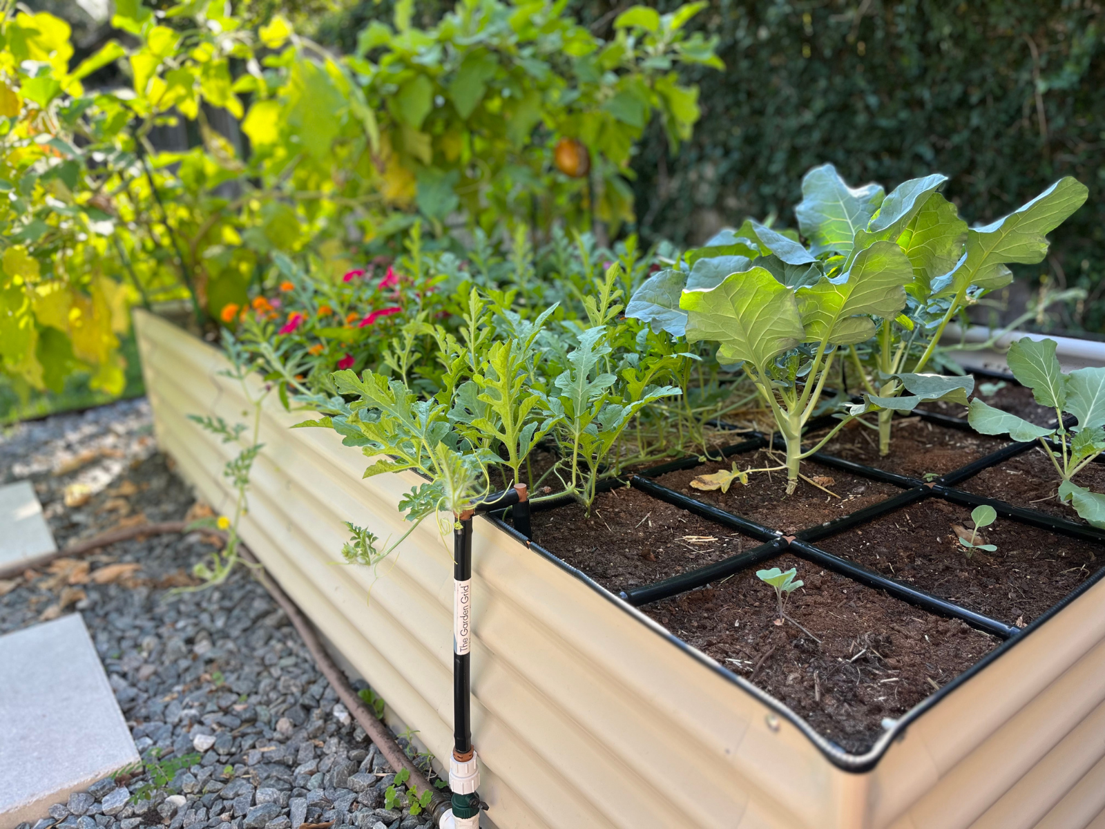 metal raised garden bed for container gardening