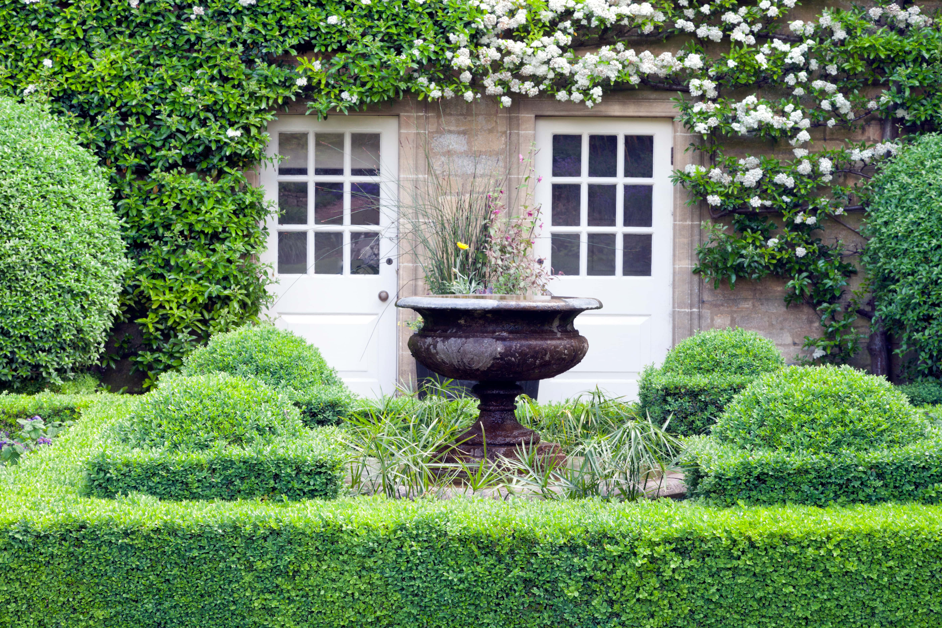 A low hedge and a water feature in front of a structure with vines