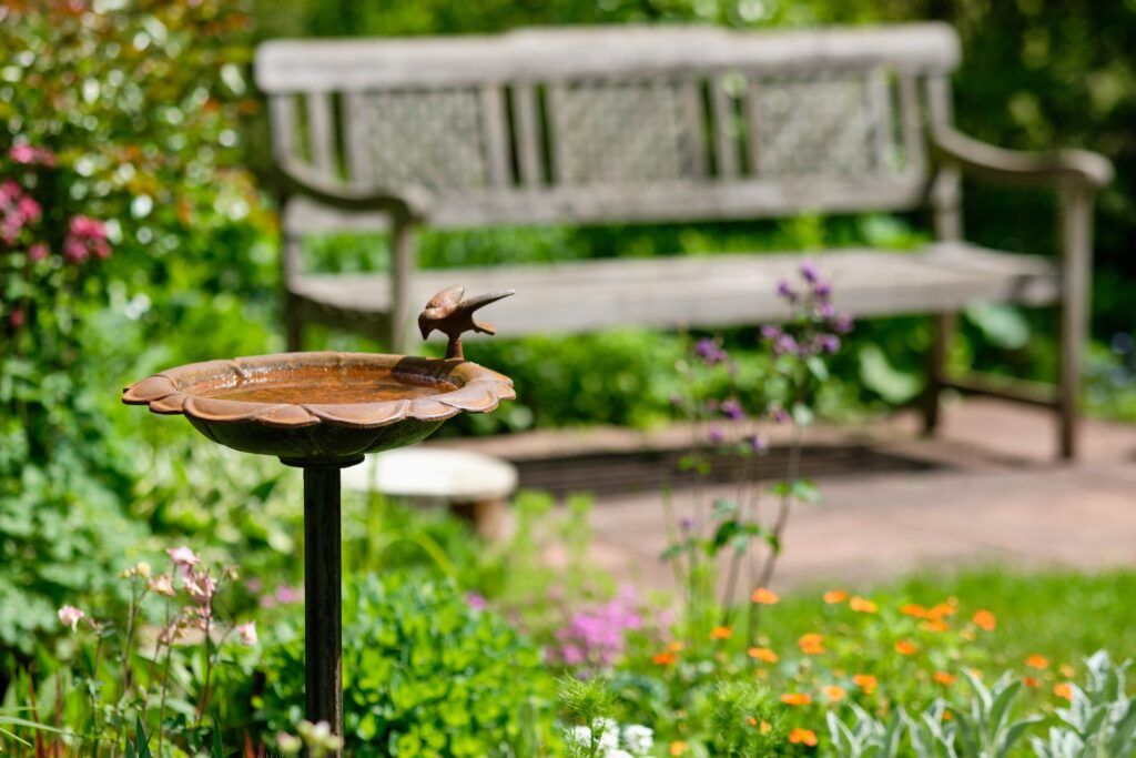 a bird feeder in a garden