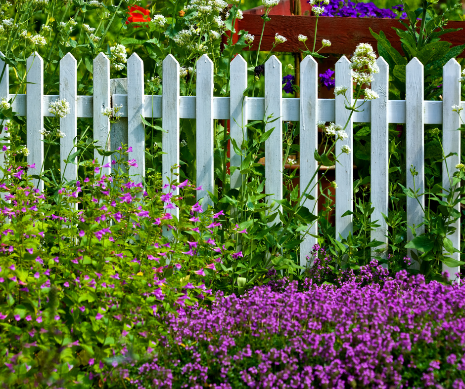 white picket fence