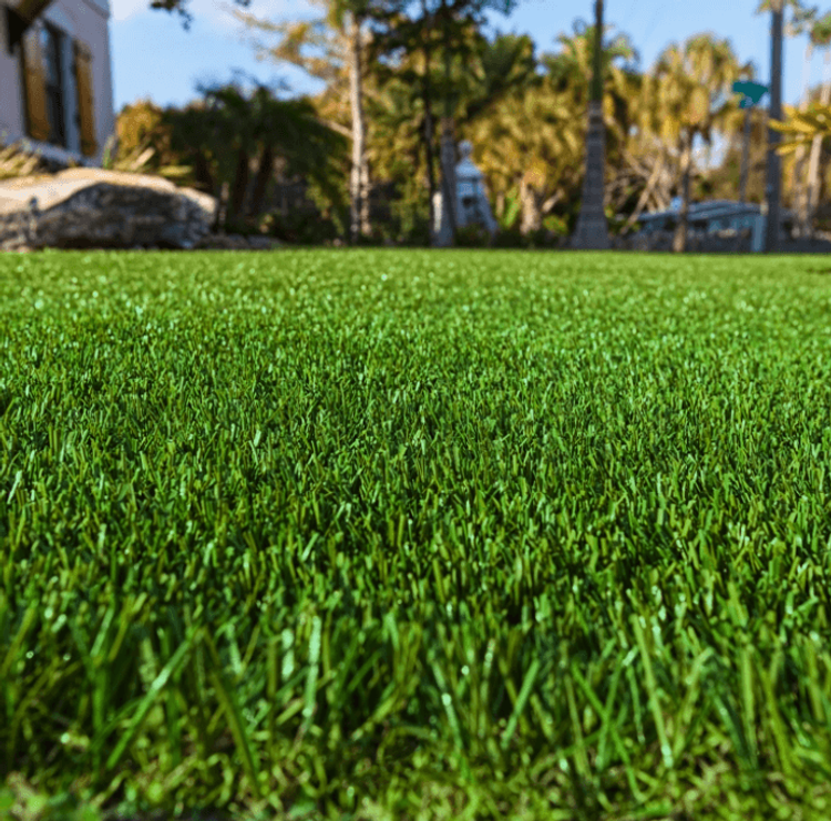 Easy Grass Alternatives for a Sustainable and Low Maintenance Lawn ...