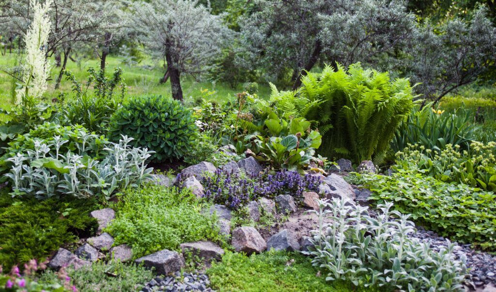 green rock garden with perennials and flowers