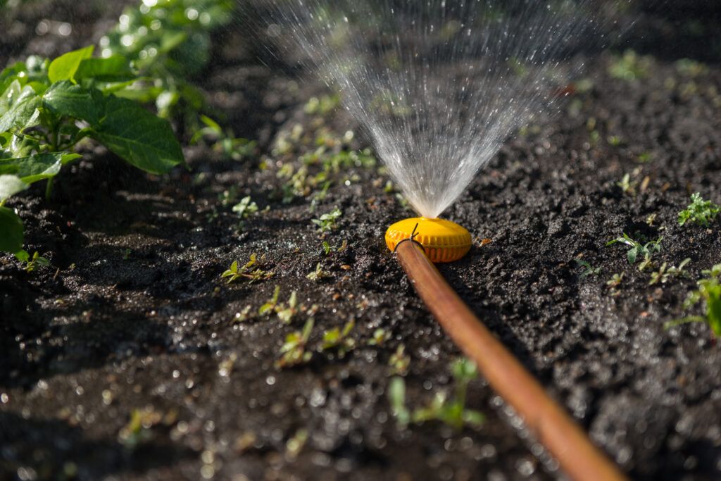 an irrigation system in a flower bed