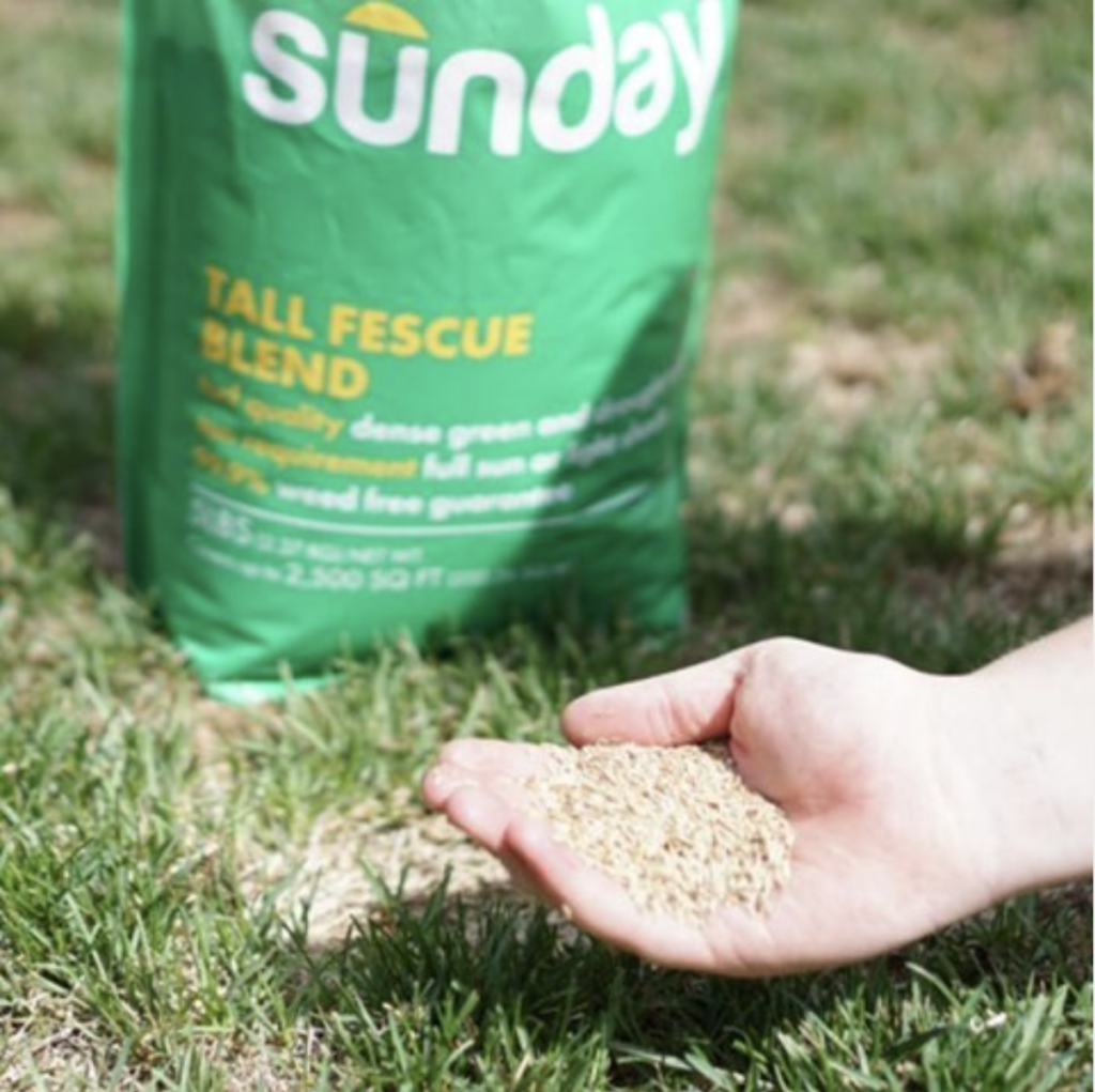 Sunday Natural Lawncare Solution
