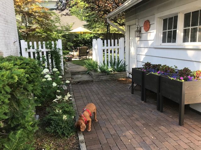 A side yard landscape with a brick walkway, new plants, a container garden and potting bench (not pictured)