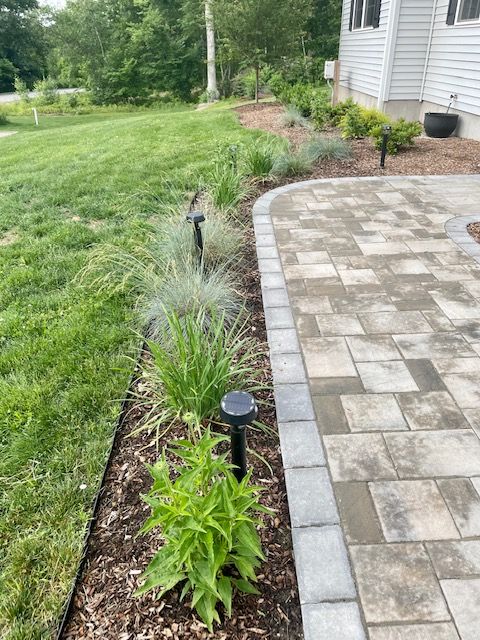Plantings lining a front walkway