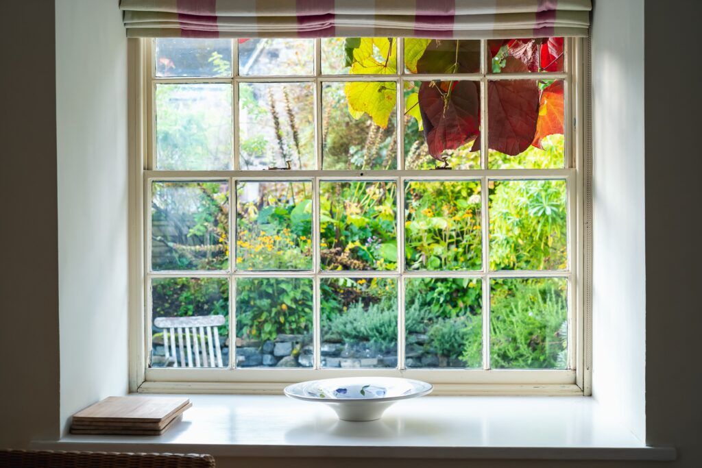 a colorful garden outside a paned window