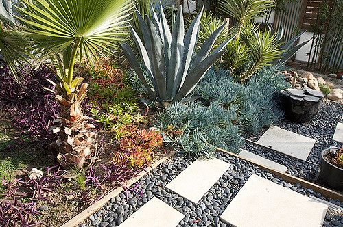 low maintenance landscaping ideas with different ground covers, groundcover plants, ornamental grasses for a maitenance free yard