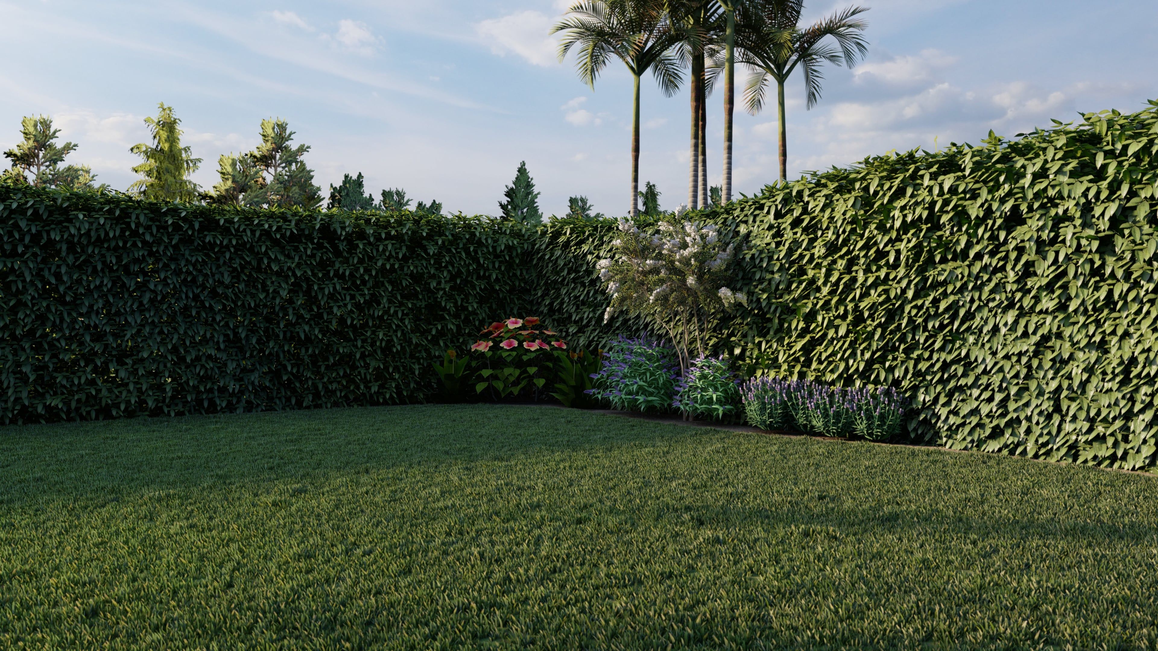 backyard landscaping ideas add privacy through hedges