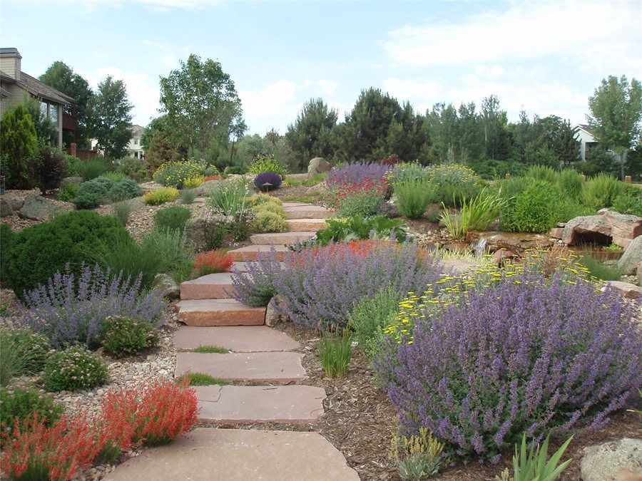 Xeriscaping examples along a path