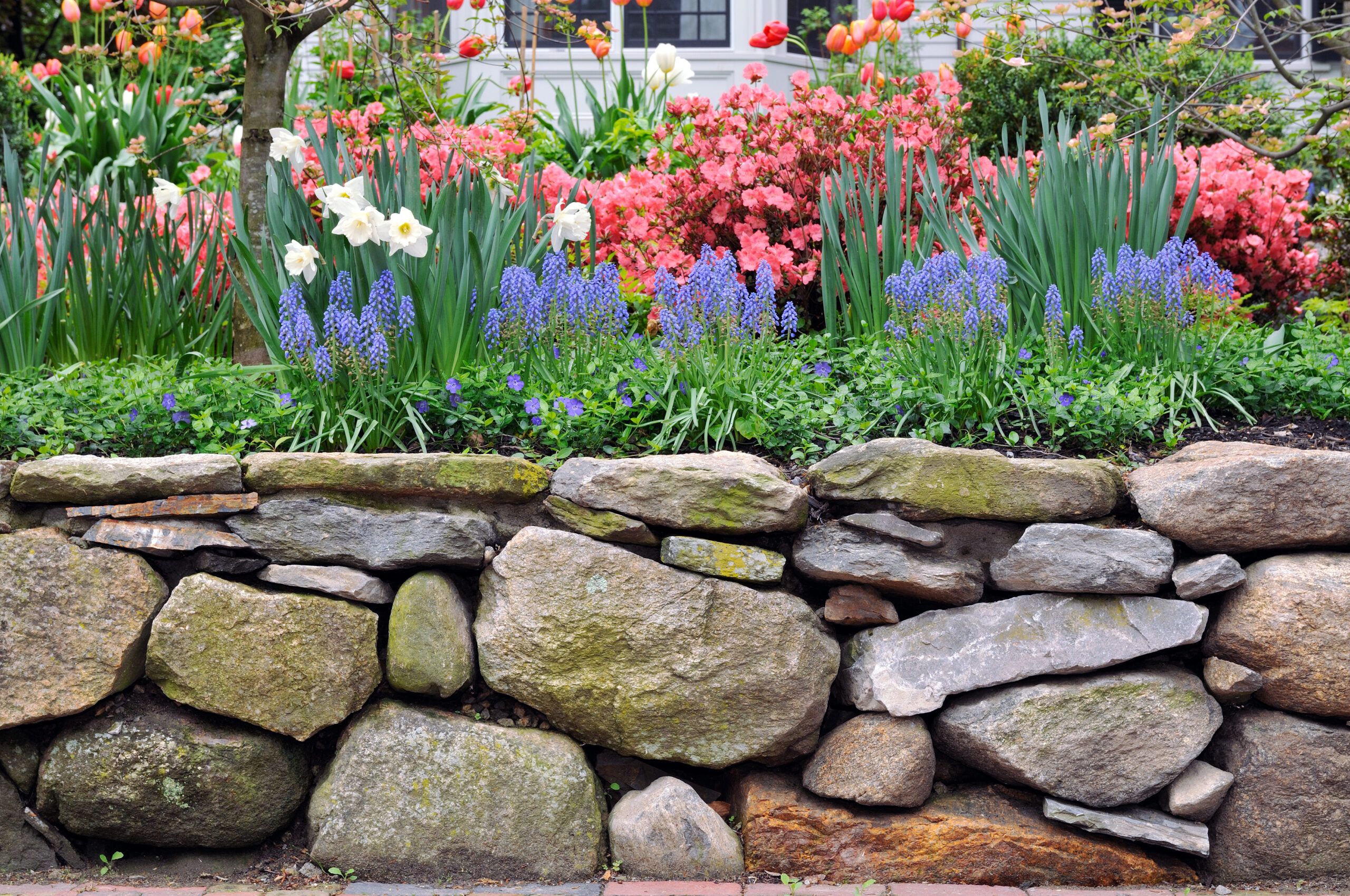 A natural stone garden wall