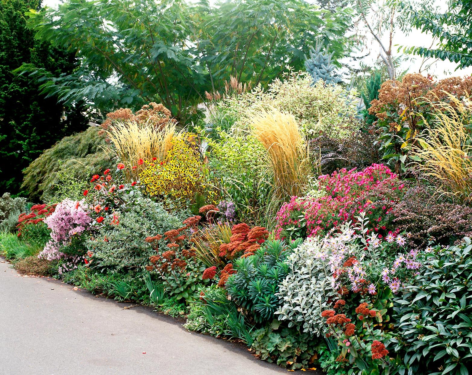Colorful Xeriscape Landscaping with perennials and mulch to help reduce weeds