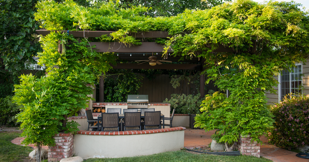 patio shade ideas, a pergola with vines to keep a patio shaded 
