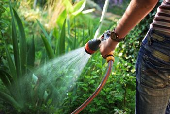 irrigation through soaker hoses for watering vegetables 
