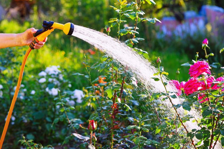 Watering your garden in heat