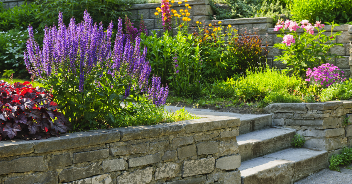 plants that need little water or less water in a garden with stairs as a focal point 