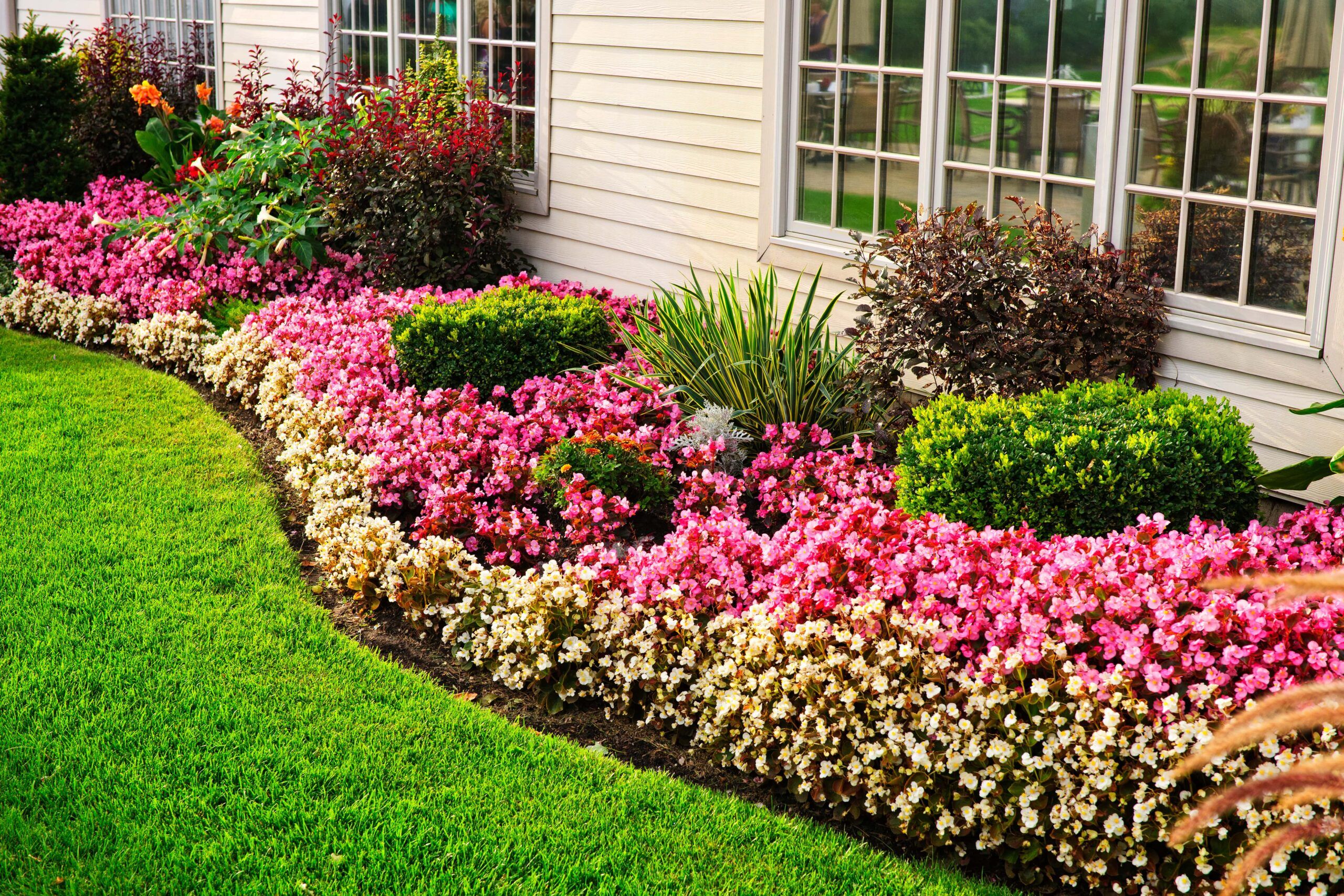 perennial flower bed along the side of a house