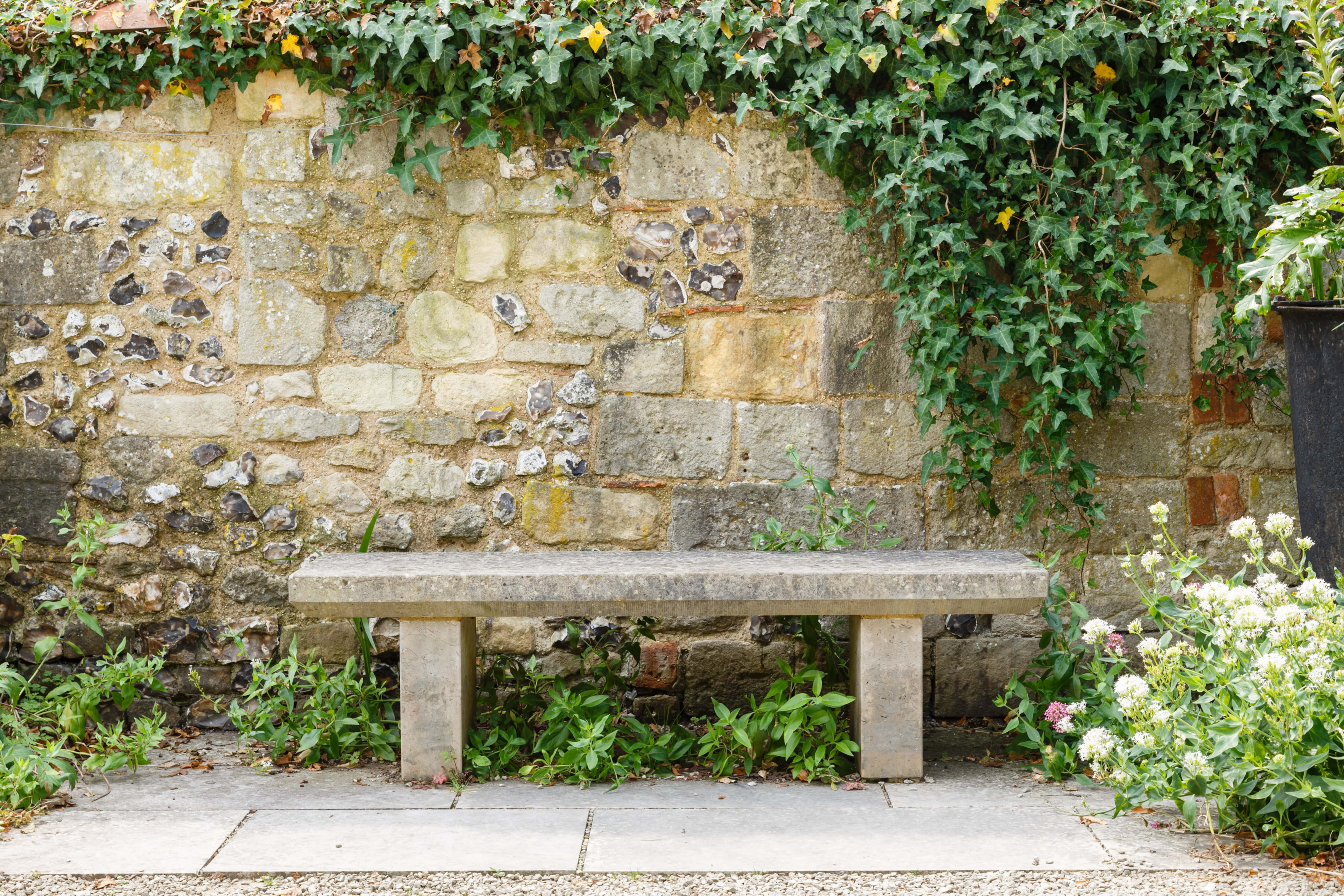 A bench along a garden wall 