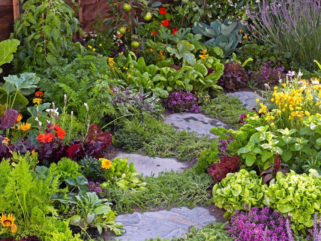 stepping stones through a garden