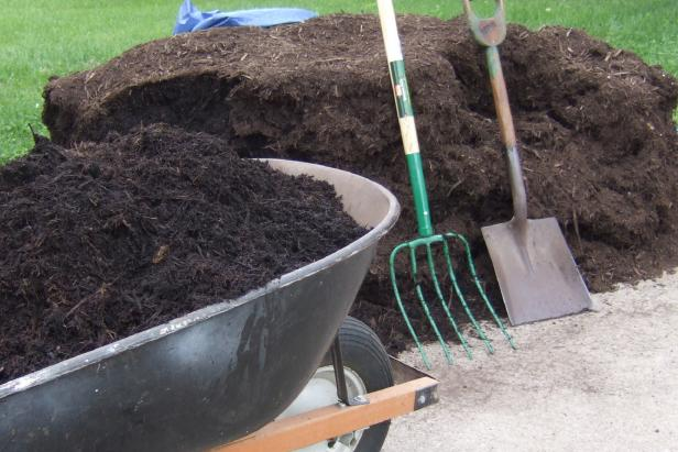 organic mulches for the soil surface 