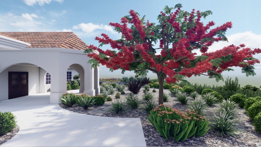 California tropical inspired landscape design