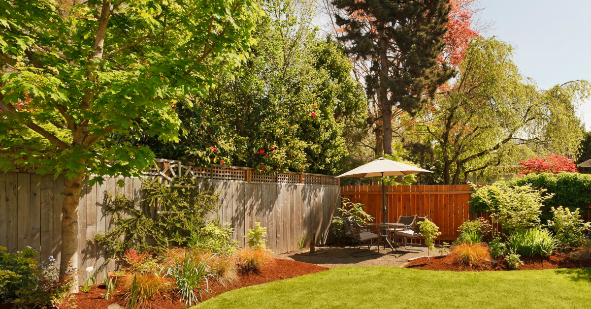 turf in a backyard to create a no mow, less maintenance, lush look in a yard without weeds 