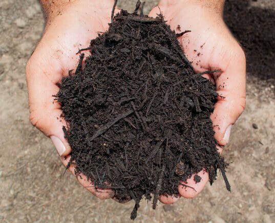 types of mulch, organic mulches for flower beds 