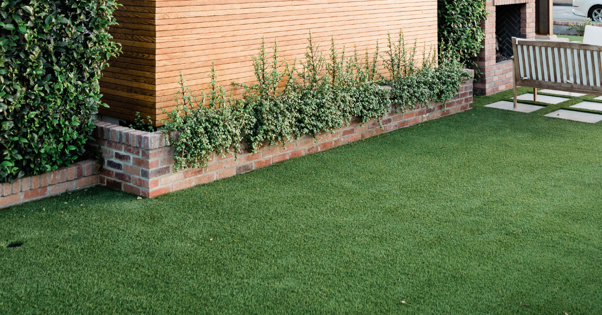 green backyard turf with clean lines next to a garden