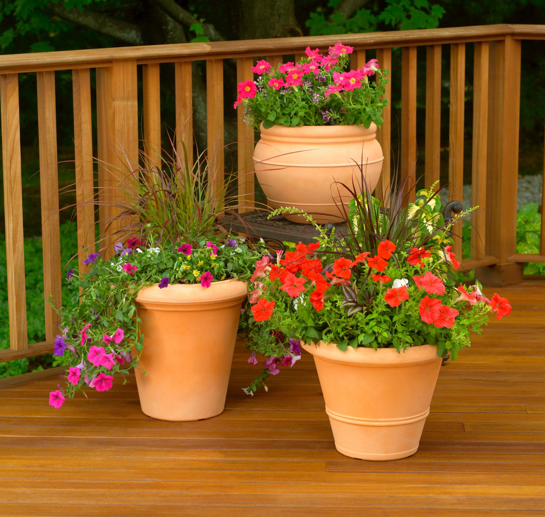 backyard deck ideas to add containers with colorful flowers