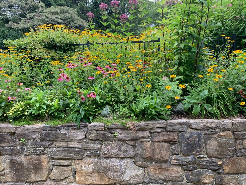 cottage garden with stone retaining wall