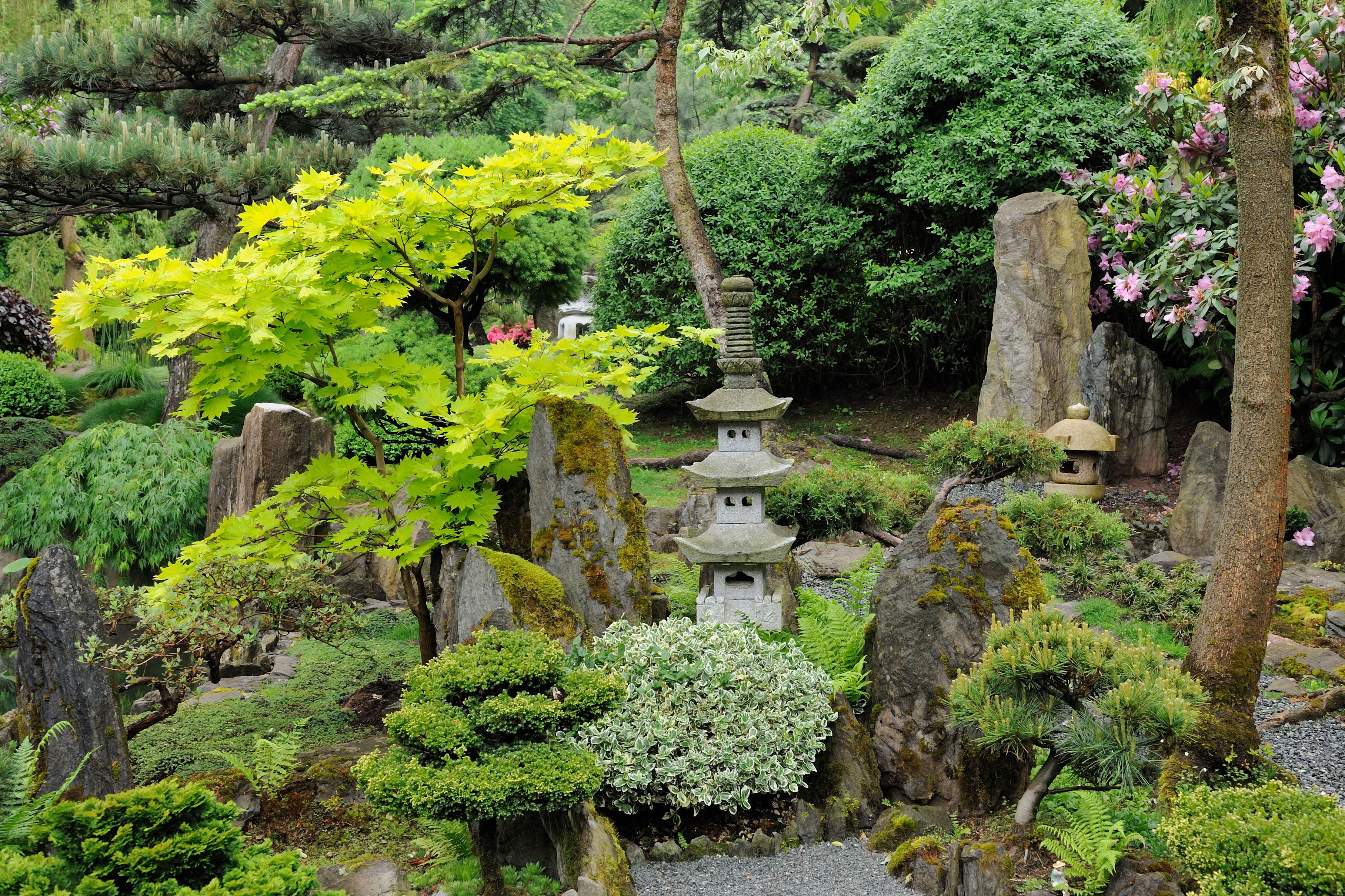 water feature in a Japanese garden ideas