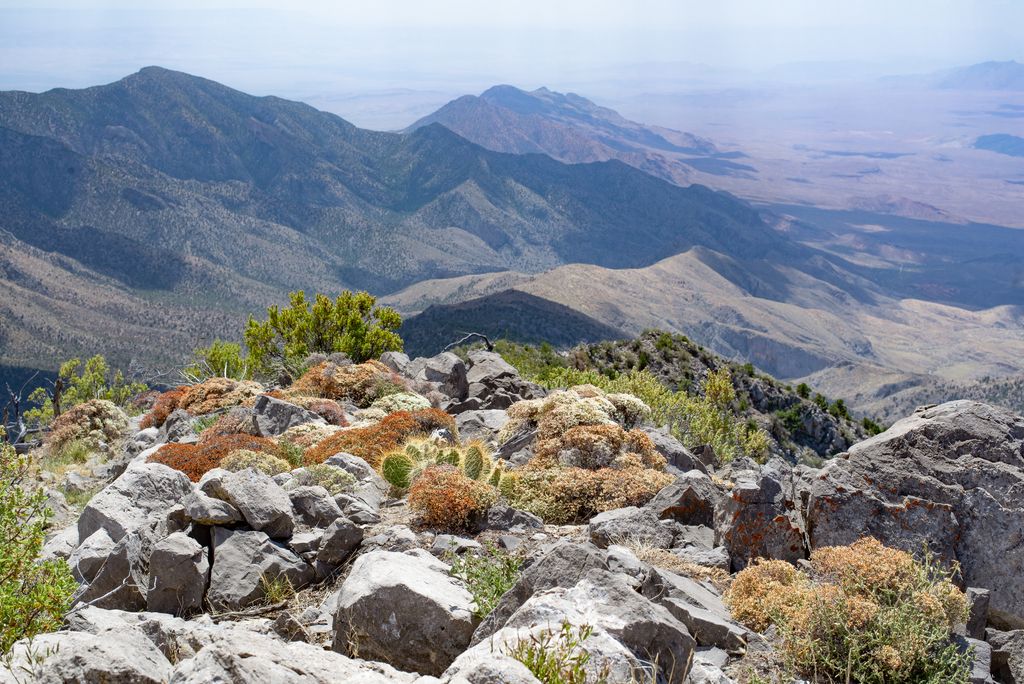 Arizona/New Mexico Plateau