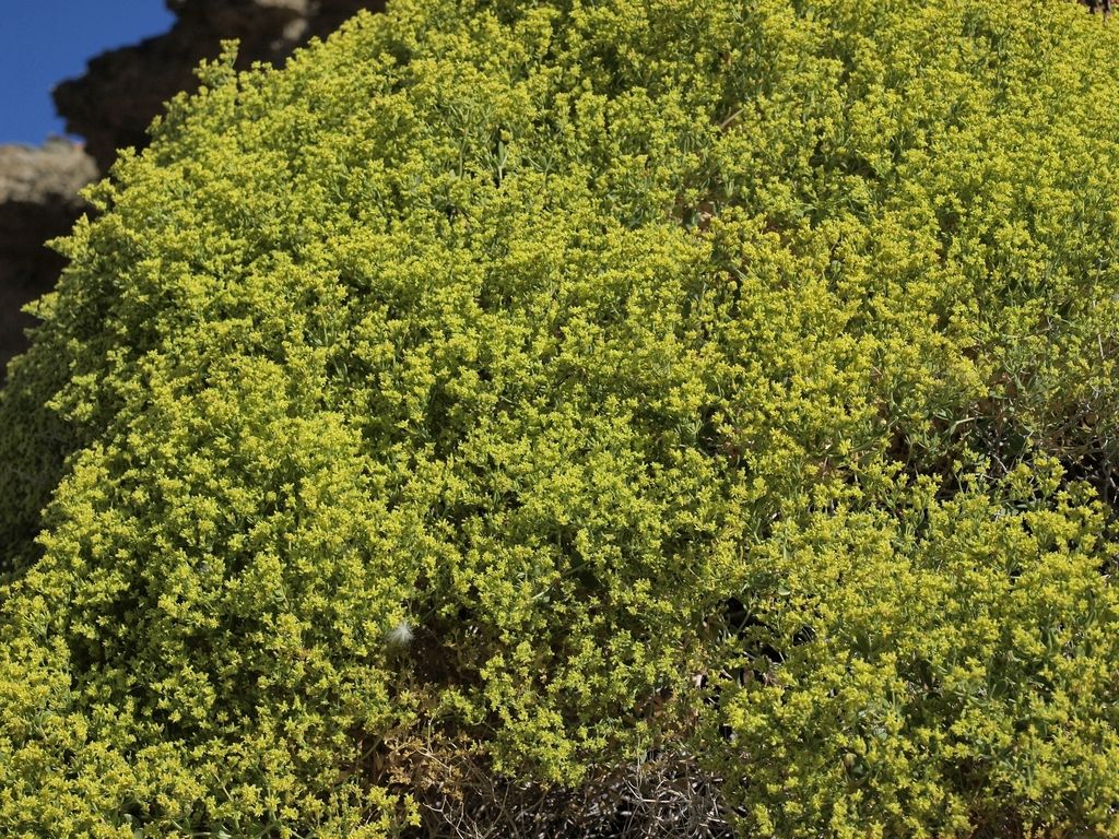 Central Basin and Range