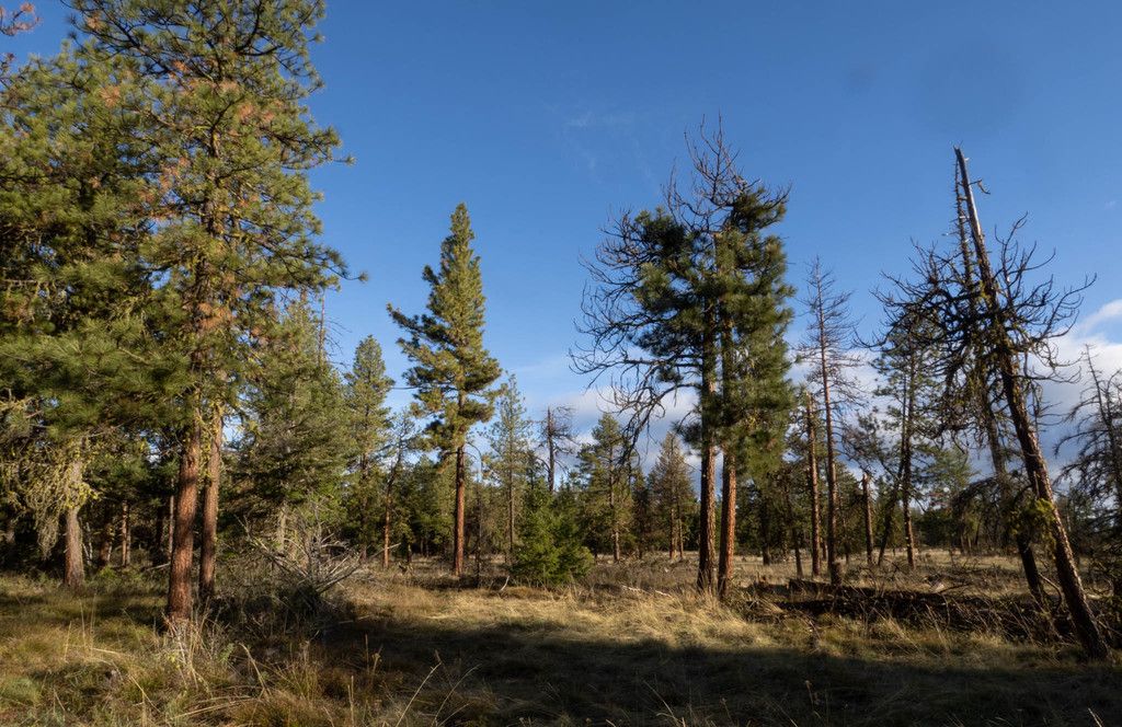 Eastern Cascades Slopes and Foothills