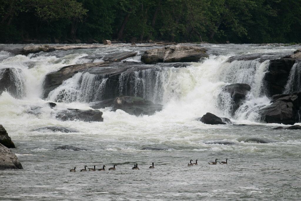 Central Appalachians