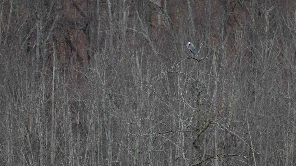 Western Allegheny Plateau