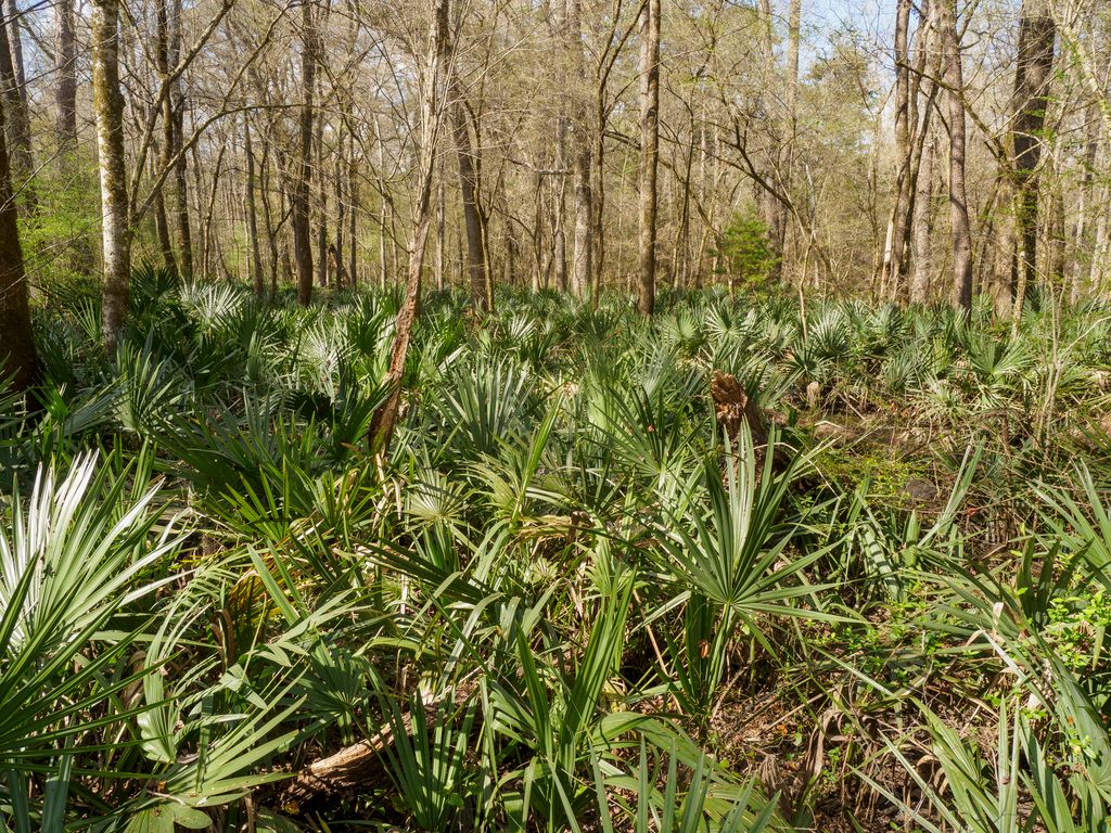 Middle Atlantic Coastal Plain